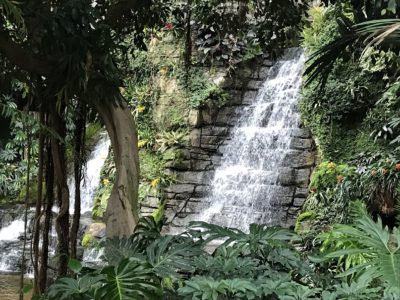 waterfall at opryland