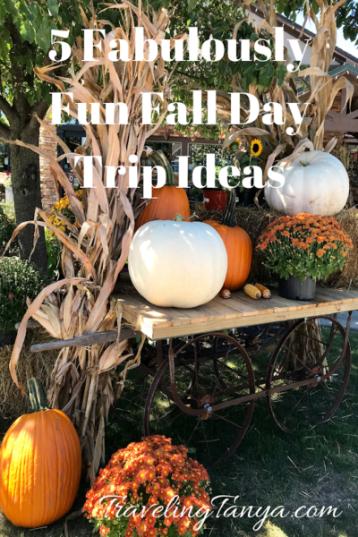 Find 5 fun ways to celebrate the fall season, plus tips on some seasonal favorites in the Hoosier state.