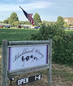 blackhawk winery