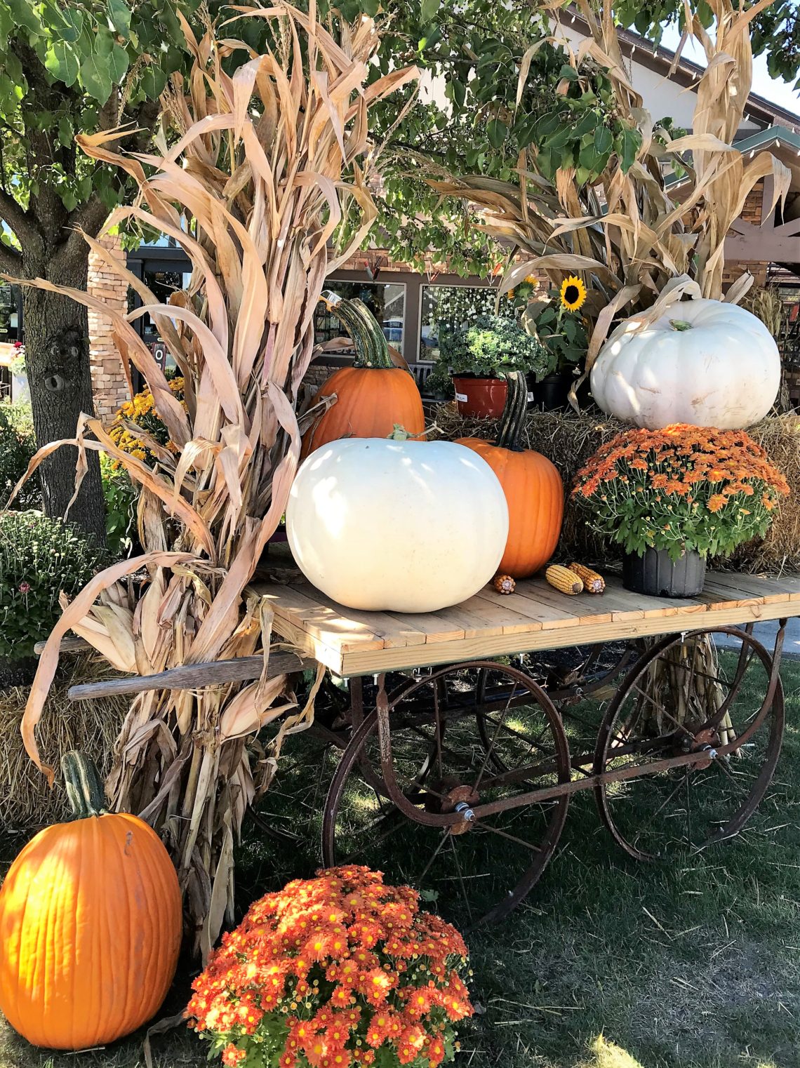 Fall Display