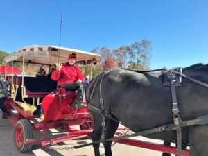 Mackinac Island Carriage Tour