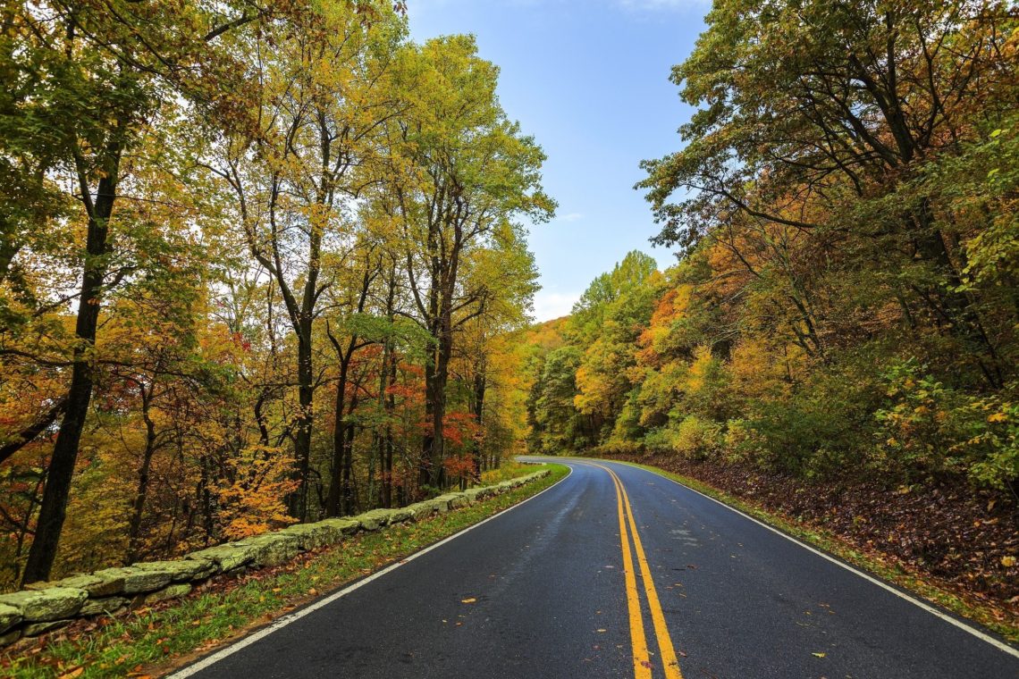 Fall road