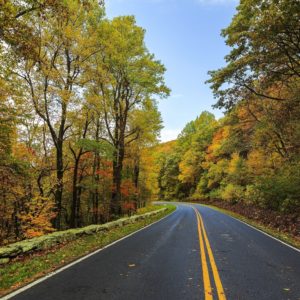 Fall road