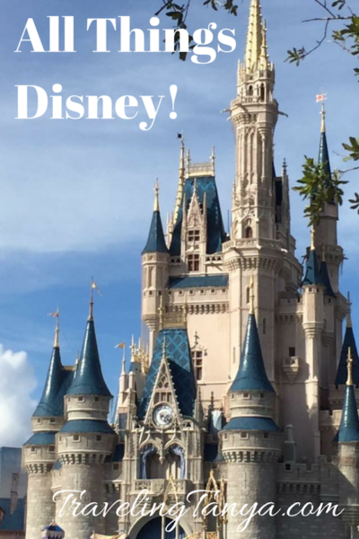 Get tons of tips for your next Disney World vacation from a Disney fanatic!