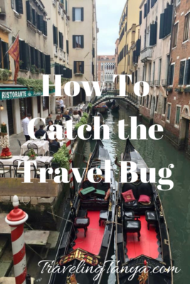 Enjoy Traveling Tanya's recap of the whirlwind trip to Europe that gave her the travel bug. Here the highlights of her trip to London, Paris, Venice, Florence, and Rome.