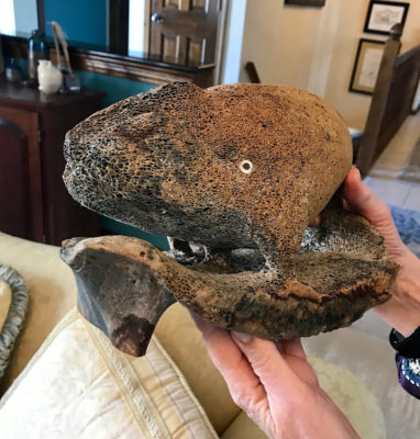 whale vertebra