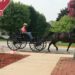 amish buggy