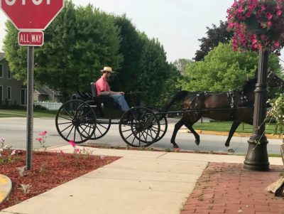 amish buggy