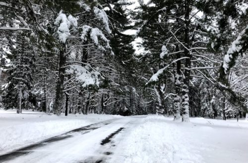 wisconsin winter