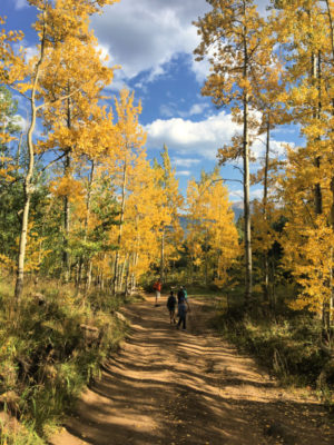 fall in colorado