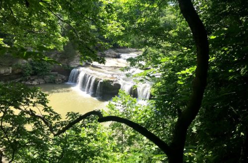 cataract falls