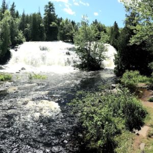 Bond falls in Michigan