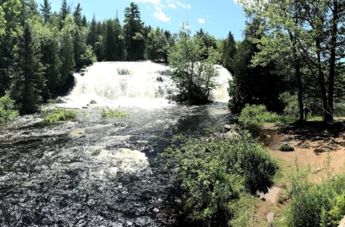 Bond falls in Michigan