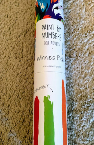 paint by number kit