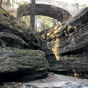 bridge at turkey run