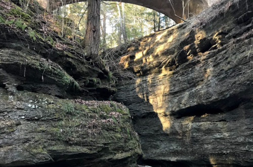 bridge at turkey run