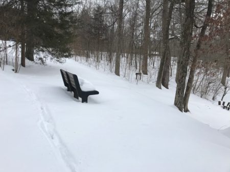 snow covered bench