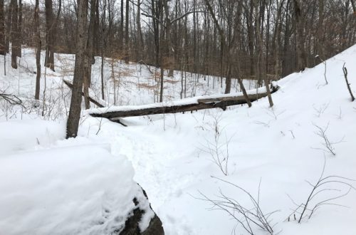 winter hike