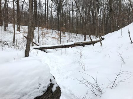 winter hike