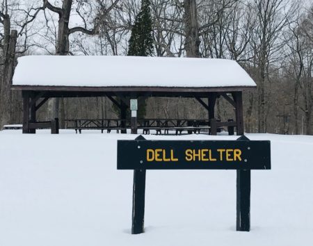 Dell Shelter