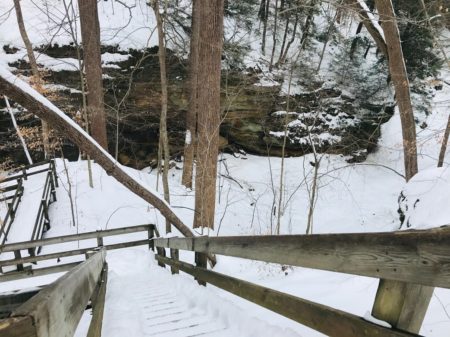 snowy woods