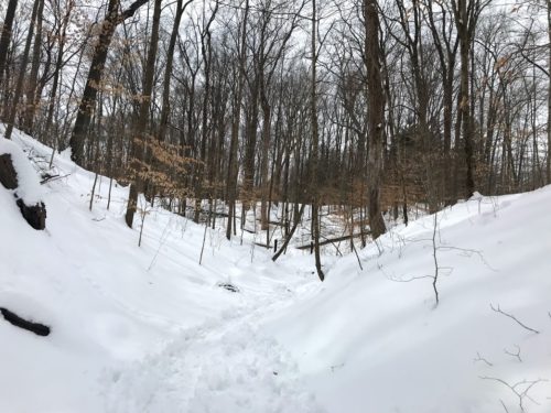 snowy hike