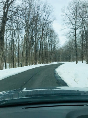 drive in the snowy woods