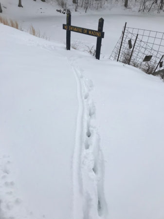 tracks in the snow