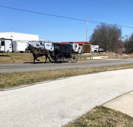 amish horse and buggy