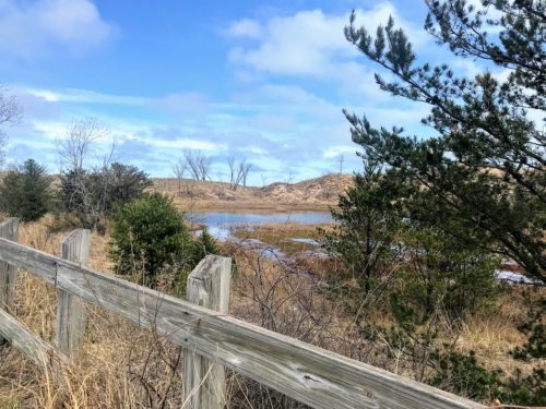 indiana dunes