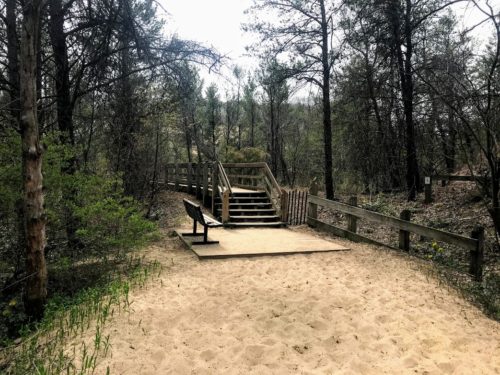 sand and trail