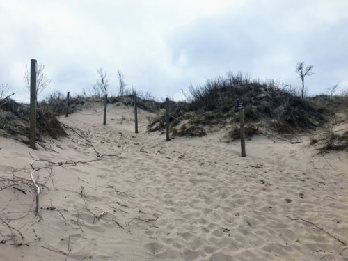 indiana dunes