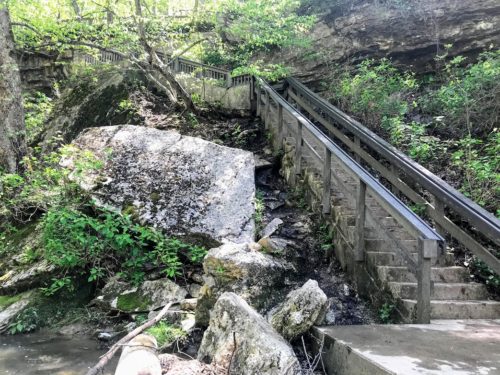 stairs in the woods