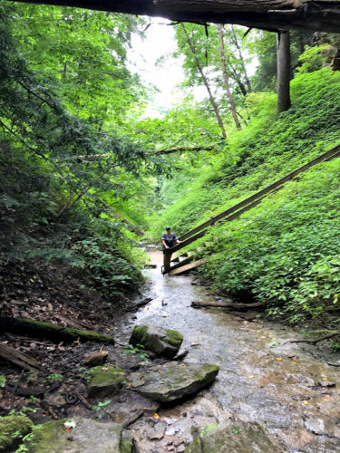 Jenny in ravine