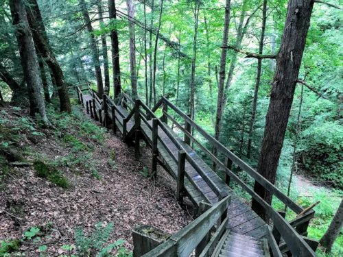 stairs in woods