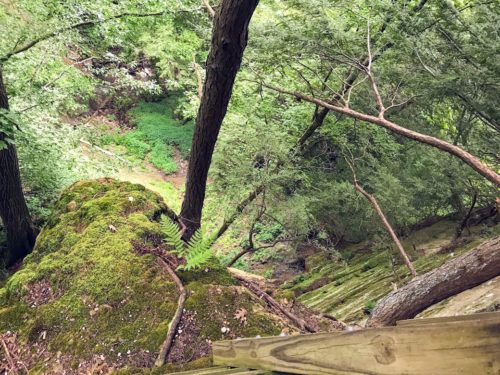 view from lover's leap