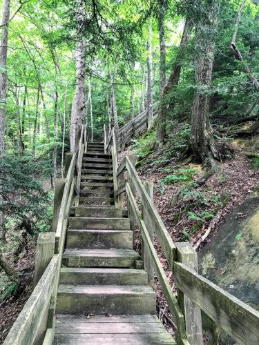 stairs in woods