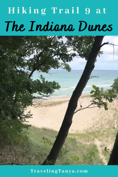 Get a great workout as well as spectacular views of Lake Michigan when you hike trail 9 at the Indiana Dunes!