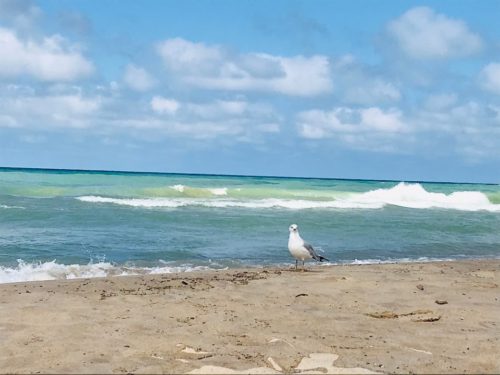 shore of Lake Michigan