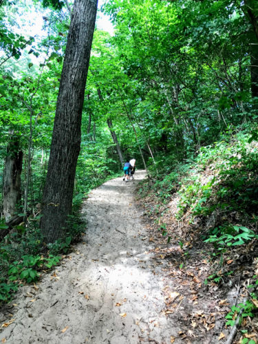 sandy trail