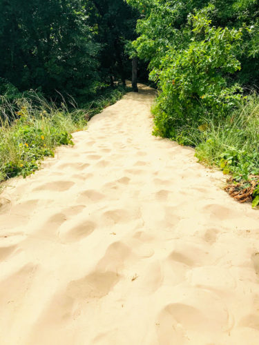 sandy trail