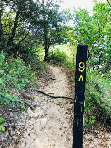 trail 9