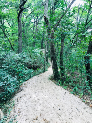 sandy trail