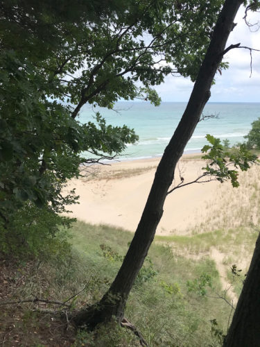 beach through the trees