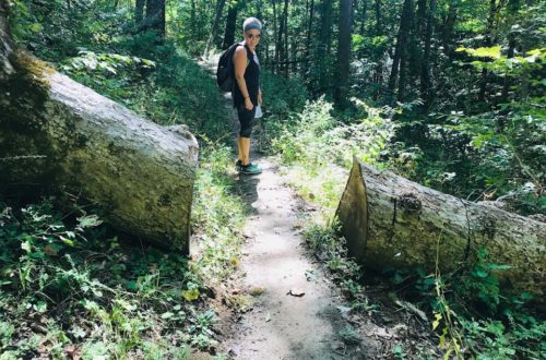 tammi at split log