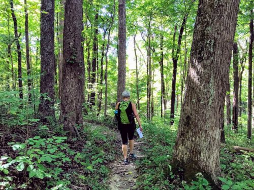 tammi in the woods