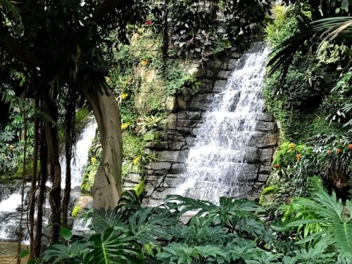 gaylord opryland resort