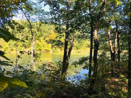 lake and trees