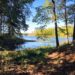 lake and trees