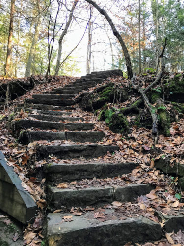 stairs in woods